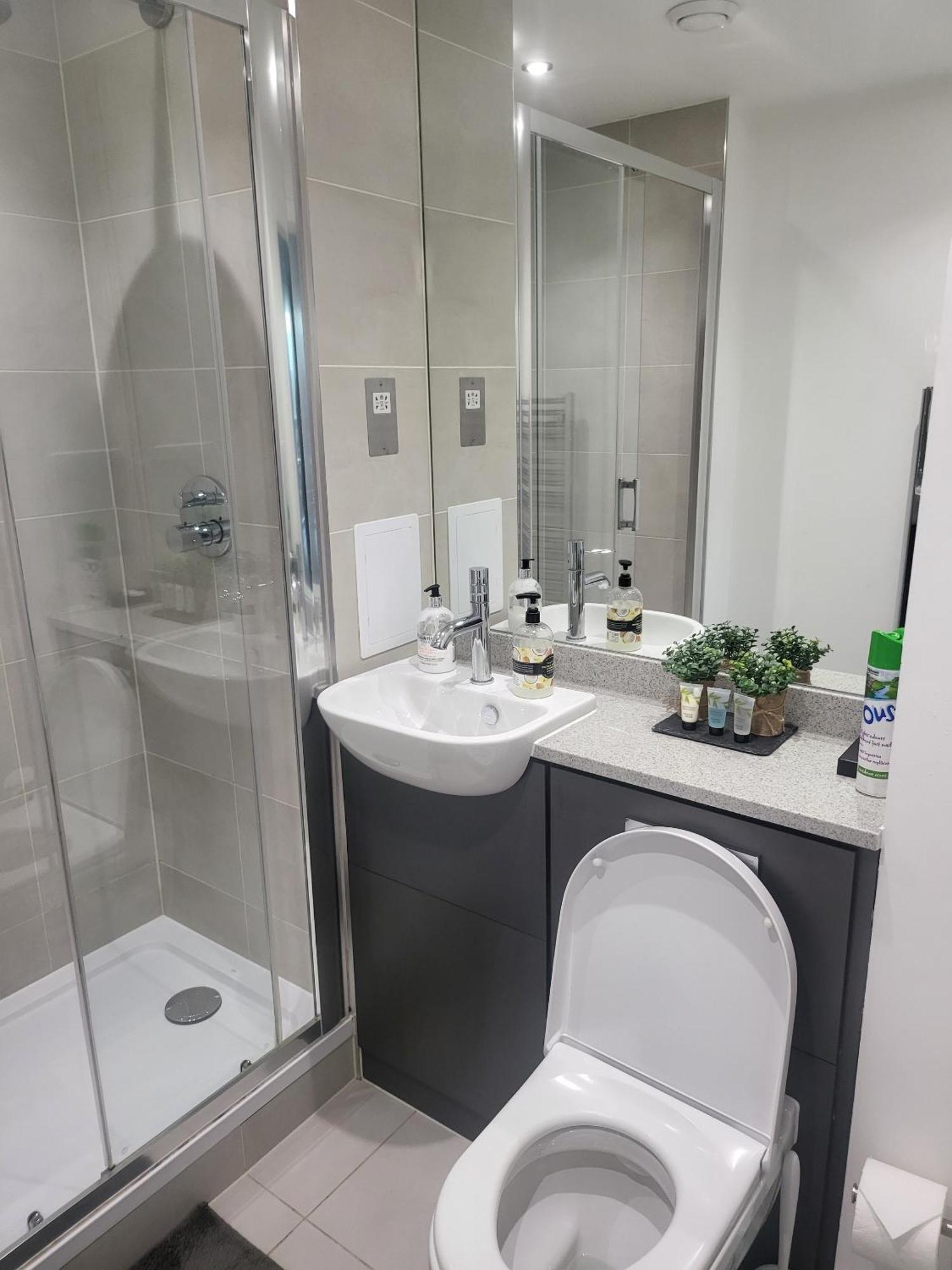 Kayz Lodge- Luxury Ensuite-Private & Shared Accommodation In A New House At The Olympic Village Overlooking Stratford Westfield And Tube Station لندن الغرفة الصورة
