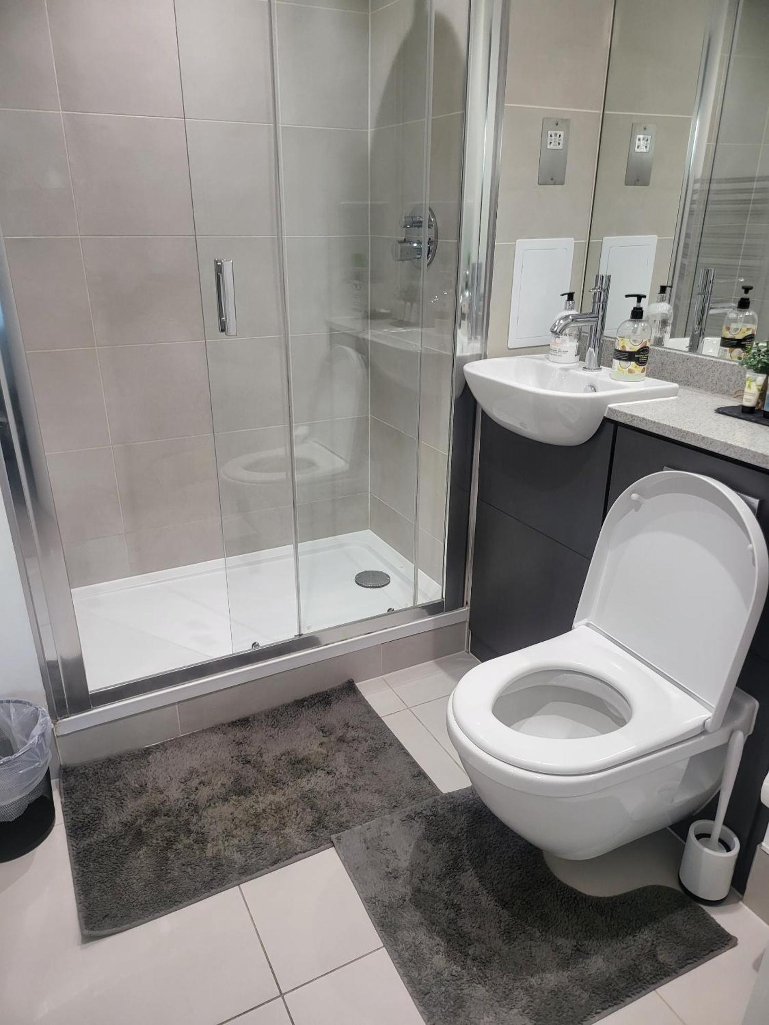 Kayz Lodge- Luxury Ensuite-Private & Shared Accommodation In A New House At The Olympic Village Overlooking Stratford Westfield And Tube Station لندن الغرفة الصورة